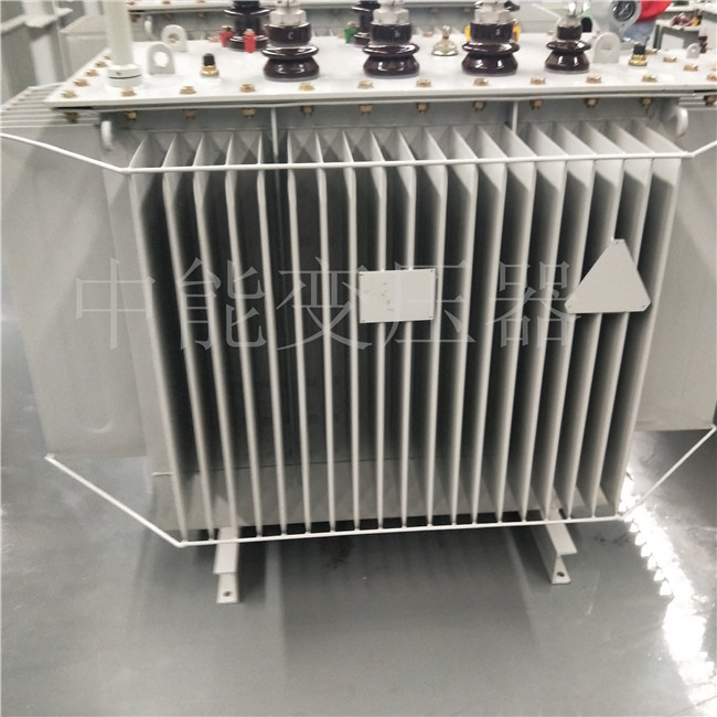 六盘水S20-800KVA变压器