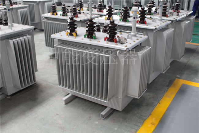 六盘水S22-250KVA/10KV变压器